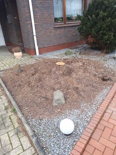 Wurzelfräsung