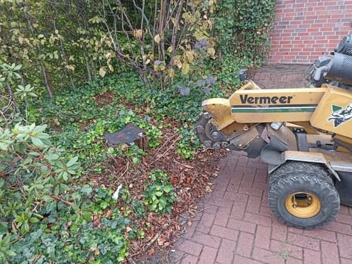Wurzelfräsung