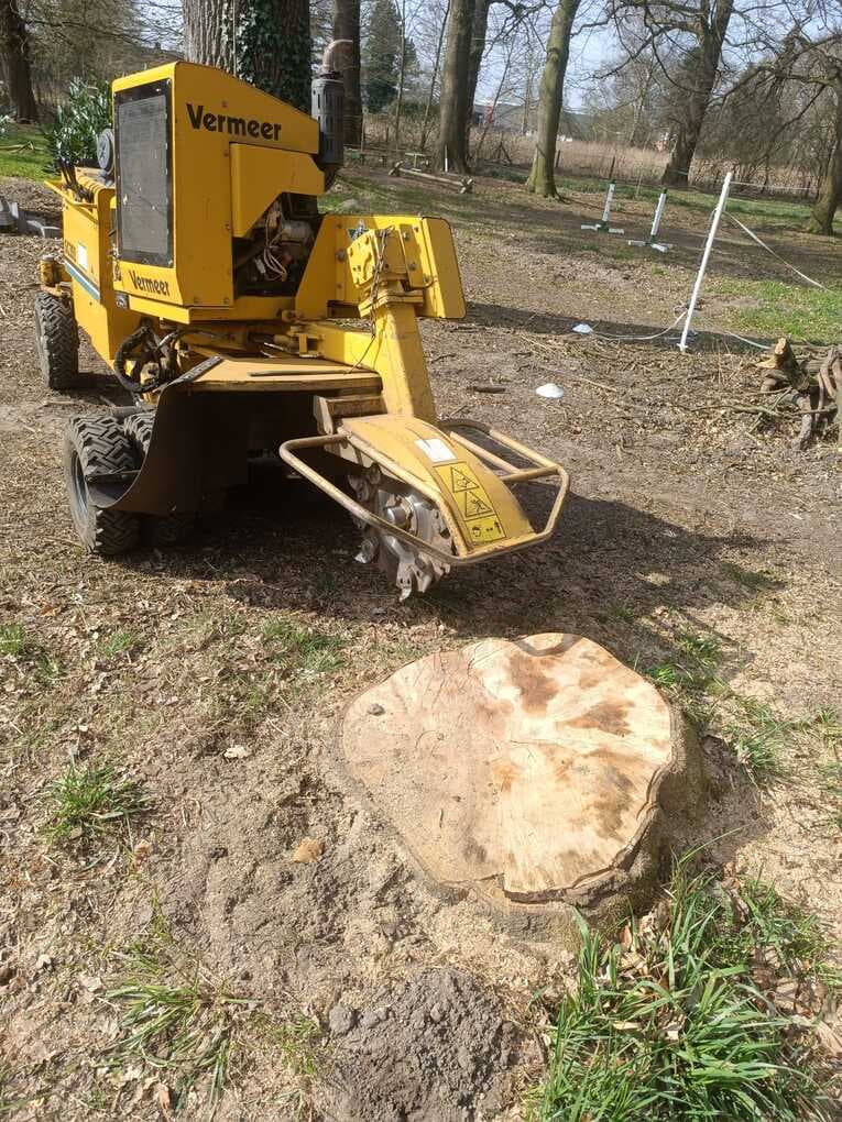 Wurzelfräsung